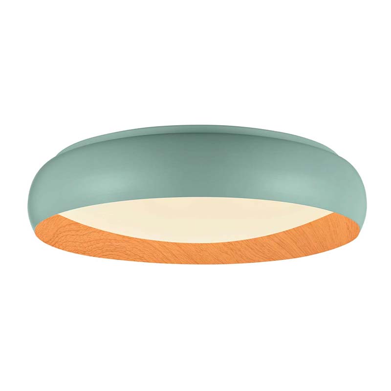 Gray-cyan Livia